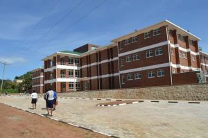 FB_IMG_1655905937501