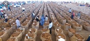 Screenshot_20220620-071518