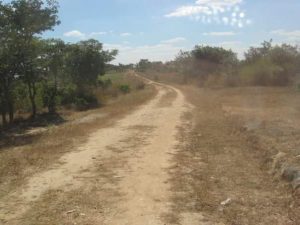 FB_IMG_1658816813176