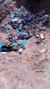 FB_IMG_1666186386025