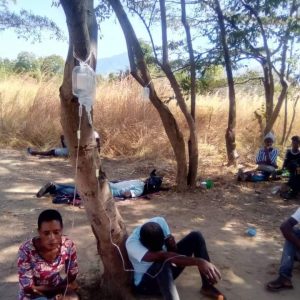 FB_IMG_1666283273297