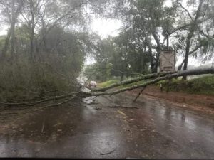 FB_IMG_1678640743933