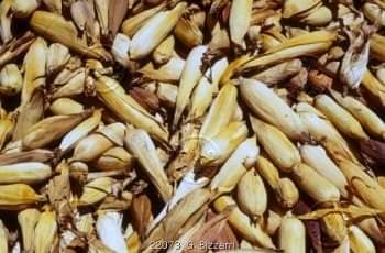 FB_IMG_1680774483584