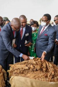 FB_IMG_1681362249197