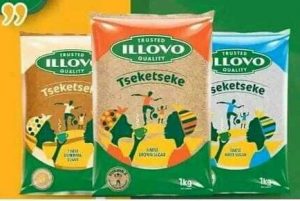 FB_IMG_1686728790455