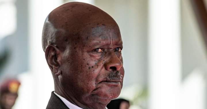 FB_IMG_1691566005370