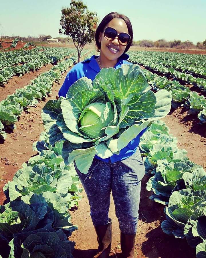 FB_IMG_1701101618308