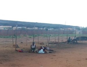 IMG-20231219-WA0018~2