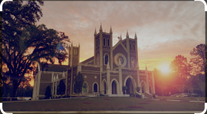 Screenshot_20240916-034854~2