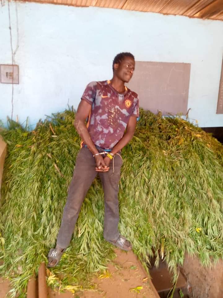 FB_IMG_1729105544544