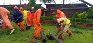 IMG-20250201-WA0087-768x354