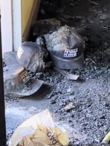 Screenshot_20250304-114929~3