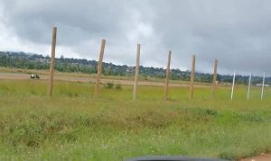 FB_IMG_1747210702848