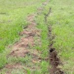 Mzuzu Fans Demand Urgent Stadium Renovation, Threaten Peaceful Demonstrations