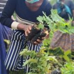 ONE ACRE FUND BACKS DOWA’S REFORESTATION EFFORTS