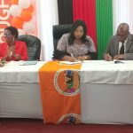 Malawi Reports Progress in Fight Against GBV, Says Navitcha